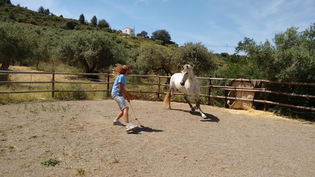 Finca La Piedra Holidays Álora Eksteriør billede
