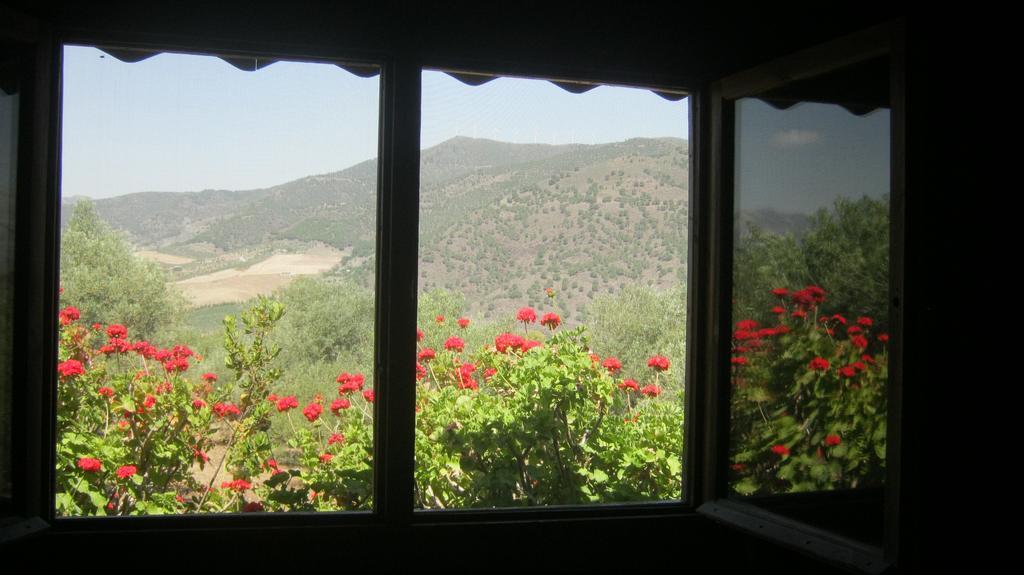 Finca La Piedra Holidays Álora Værelse billede