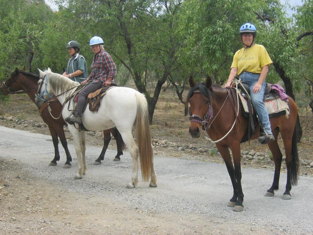 Finca La Piedra Holidays Álora Eksteriør billede