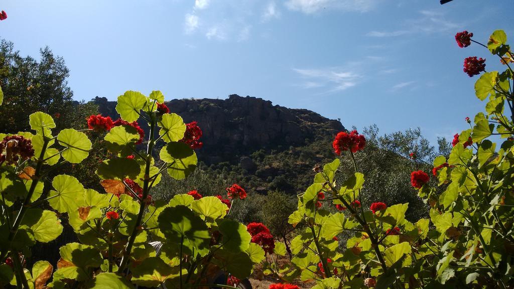Finca La Piedra Holidays Álora Eksteriør billede